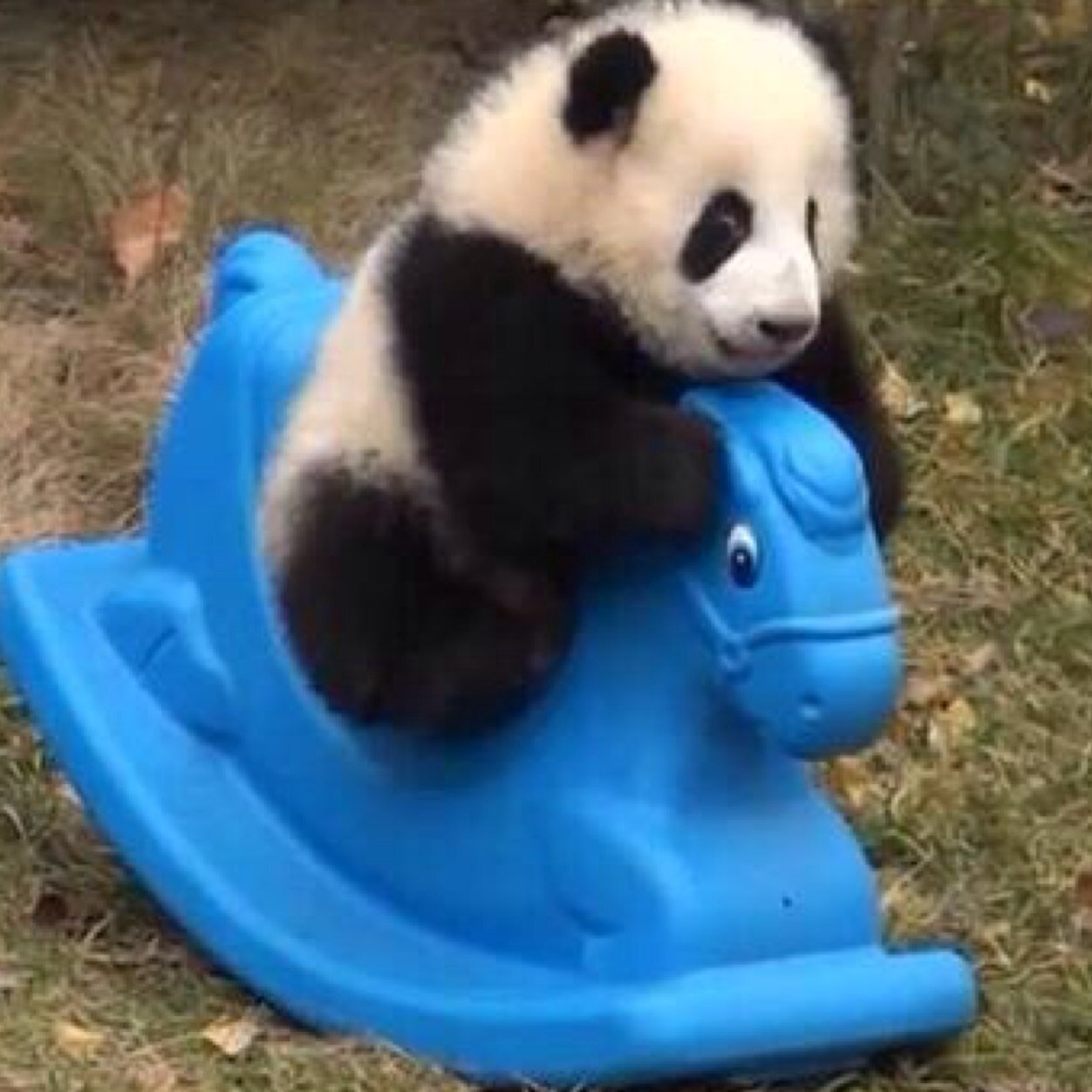 m_yoshimi's profile picture. 本とかファッションとかK-POPとか好き。