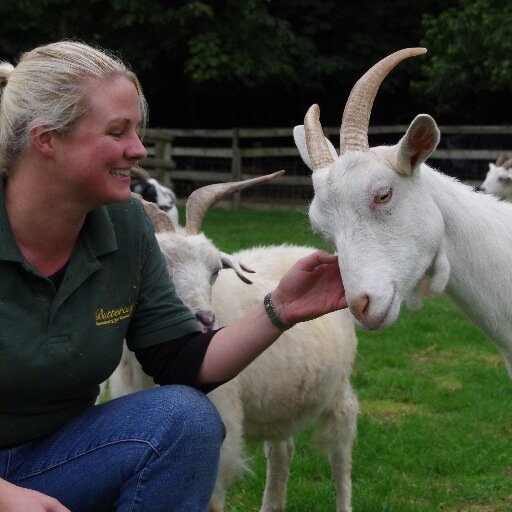 Amy_AJA's profile picture. 