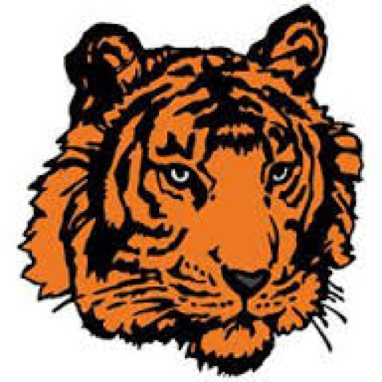 BRFsuperfans's profile picture. Your source of info for cheering themes and BRF student section cheering updates!!! #TigerPride