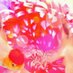 ぴっきっき→ぱやし (@pikkikki) Twitter profile photo ぴっきっき→ぱやし (@pikkikki) Twitter profile photo