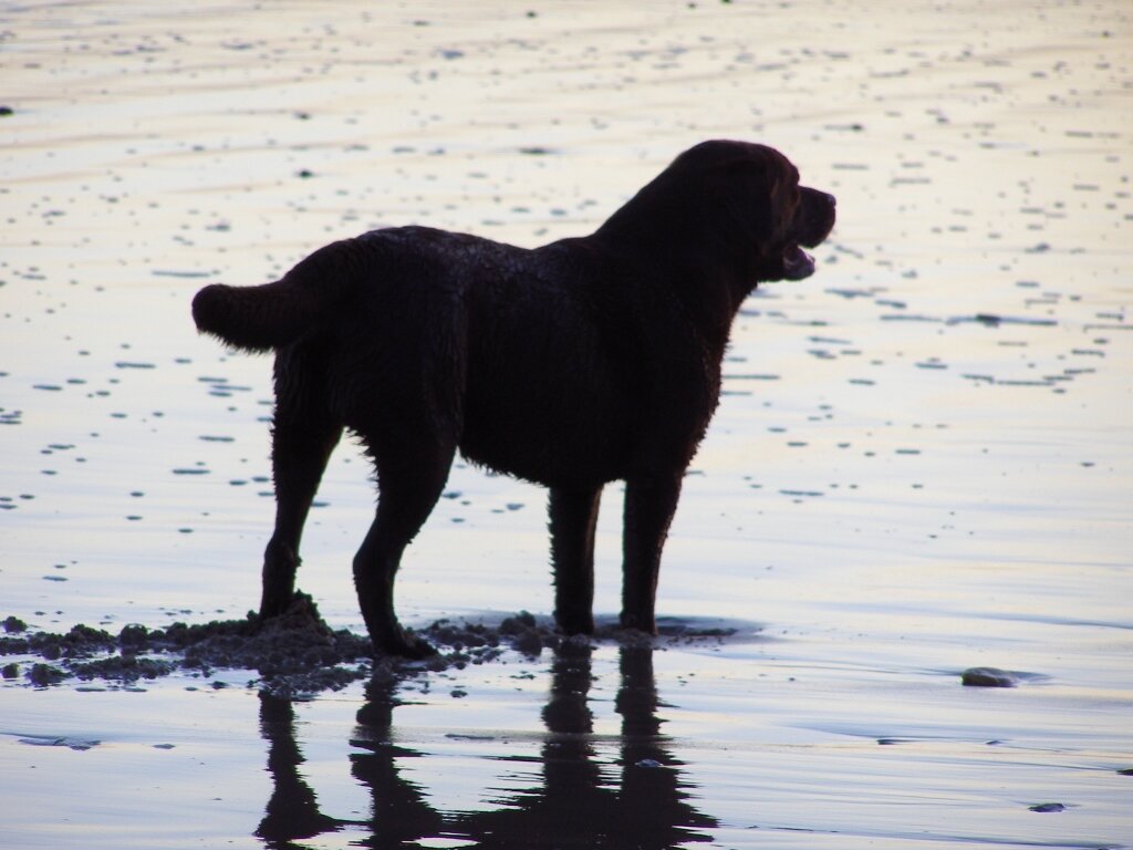 We love Druridge Bay and the Northumberland Coast and want visitors to get the most from their visit here #druridgebay @6atdruridgebay