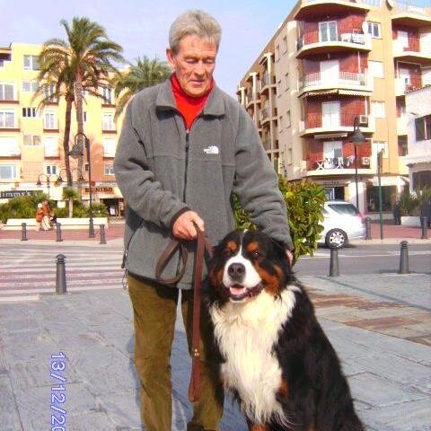 DavidAt1944's profile picture. 