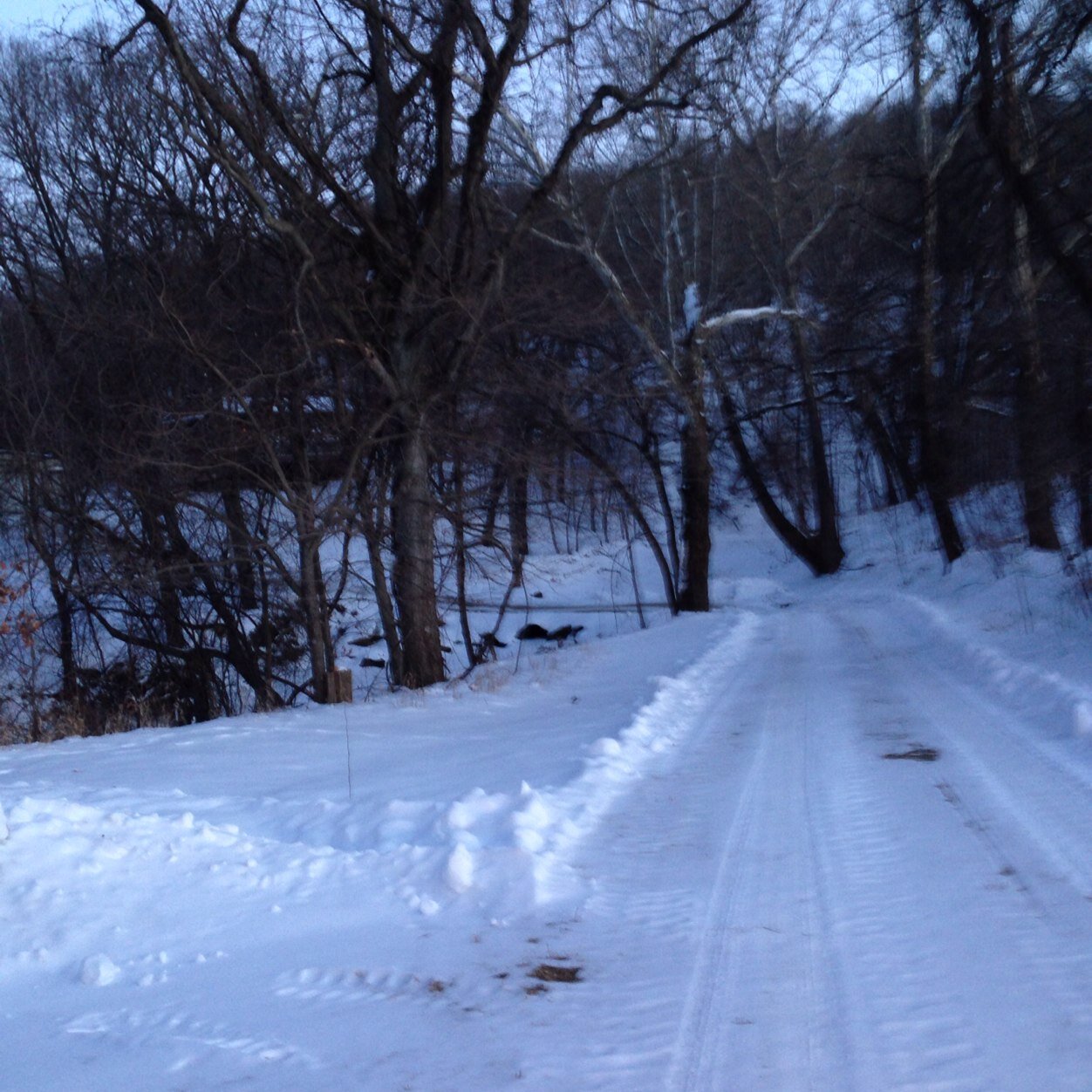 owf817's profile picture. Grandmother, liberty lover, country knitter