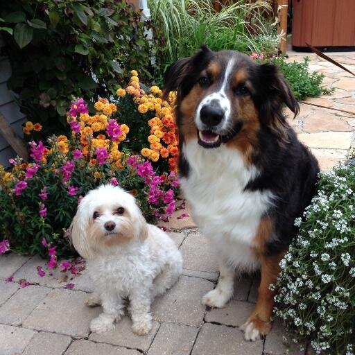 happycamper3's profile picture. 