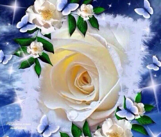 mohamadalbogam5's profile picture. سبحان الله وبحمده سبحان الله العظيم مدينه الطايف