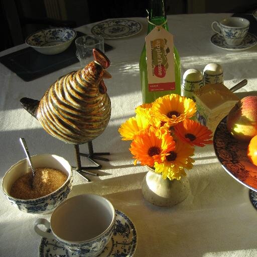 I have a B&B in a Victorian Stone house close to Stokesay Castle I enjoy gardening and flower arranging and walking the lovley rolling Shropshire Hills