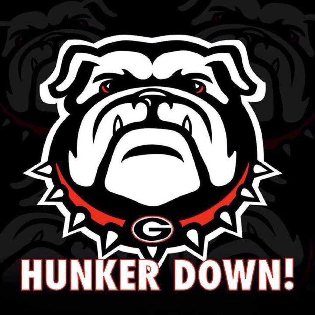 HawkPause's profile picture. 