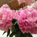 Marta Crespo - @martacrespo75 - Twitter