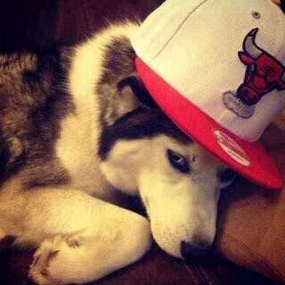 Ruben_535532's profile picture. BBM Pin:29CB370A