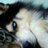 eaid21's profile image