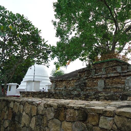 tharakanuwan77's profile picture. 