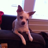 JD (@jasonuss) 's Twitter Profile