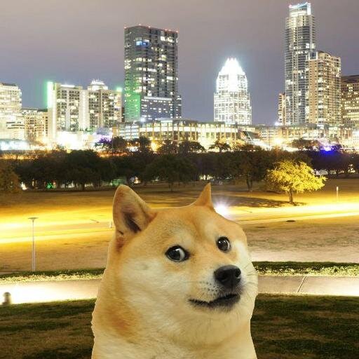 DogeSXSW's profile picture. Very wow at SXSW. Look for me around Austin! #DogeSXSW #DogeDoesSXSW