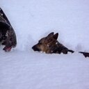 Fred Stover - @Fstover3Patriot - Twitter