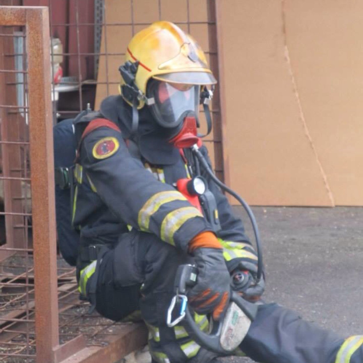 freddy_hendriks's profile picture. 