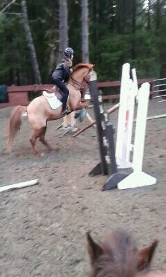 curly_rox's profile picture. 