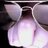 Ipman1337's profile image