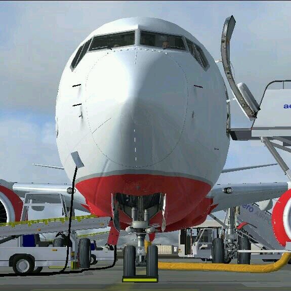 e5580b451a6c4dc's profile picture. 