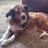 reneeshaver39's profile image