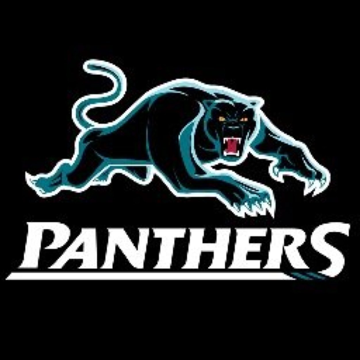 Racing, Panthers, Nix, Chiefs, Pies, Black Caps, Kiwis, All Blacks