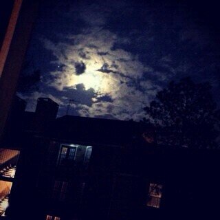 Sarahaya8's profile picture. 