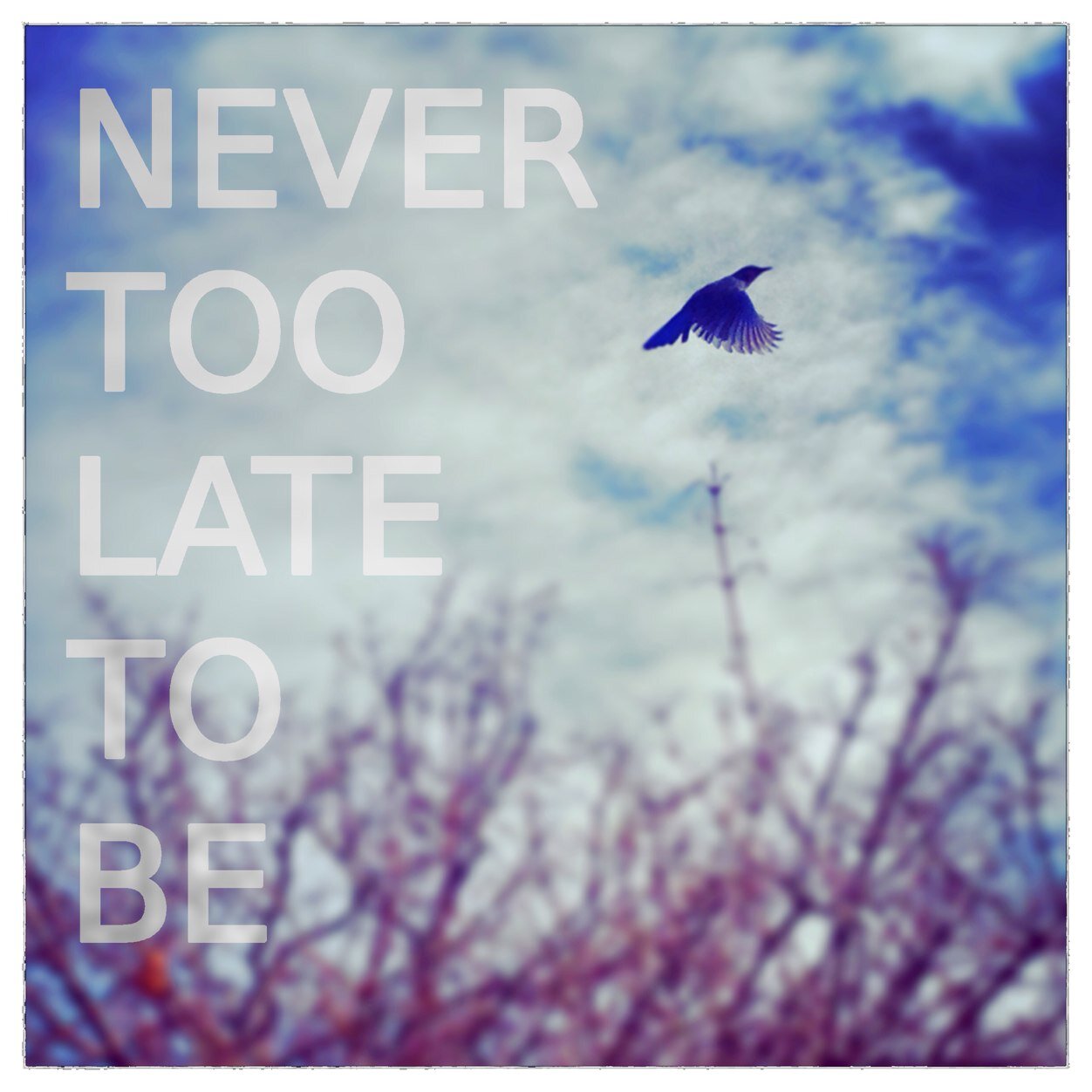 A Band Called Never Too Late To Be. E.P. Coming Soon. Influences Include: Sleeping With Sirens, Thirty Seconds To Mars. Thank You For Supporting This Band.