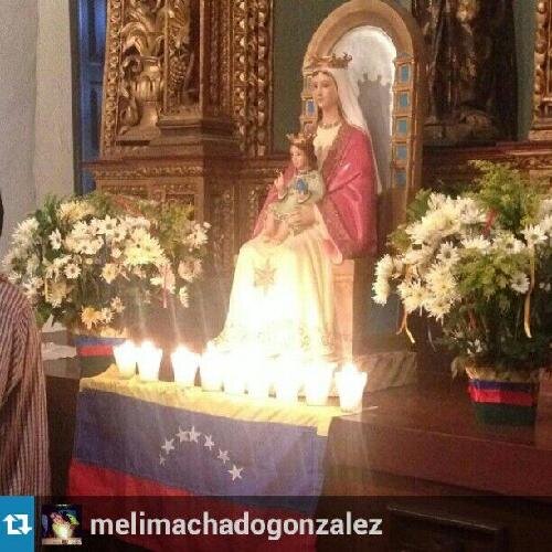 lupeayalab's profile picture. 