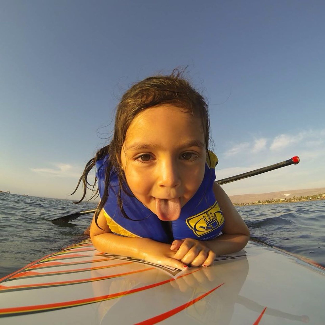 arquitectorvp's profile picture. 