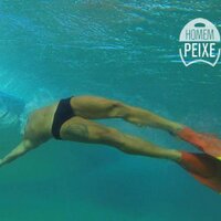 Arlei Xavier (@arleix5) 's Twitter Profile