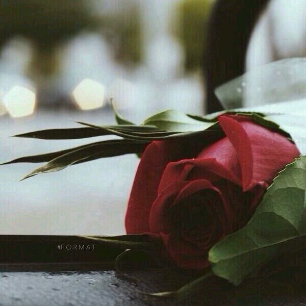 ‏☺.. ♥ ‏آلـعـز ﻟلـنفس #ۆآجـب ۆ آلحيآ ﺳـنہ ،. ۆ آنـآ ﻳديـنـي ﻣ̝̚ـن #آلثـنتين ﻣ̝̚ليآنـہ ،.♥