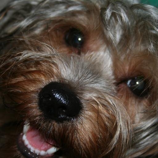 Soy de la generaciòn del por favor, del buen dìa, buenas tardes, hasta luego y el gracias, del respeto a los mayores, de pedir permiso.