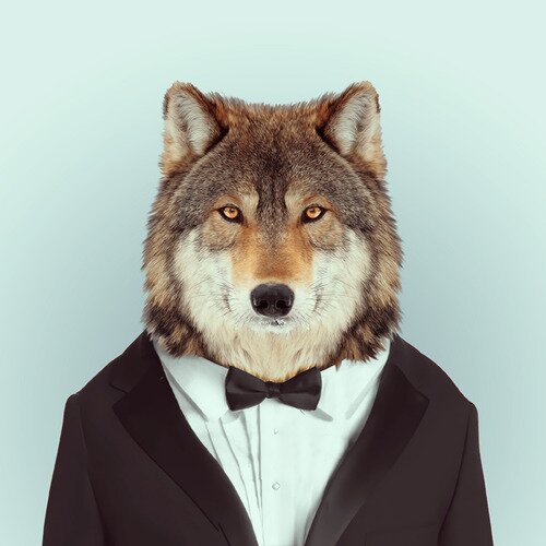 RealWallStWolf's profile picture. The Real Wolf of Wall Street #Howling