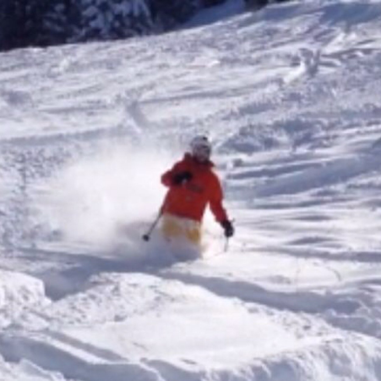 jose_userarodes's profile picture. 