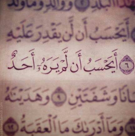 غرد بالخير♡