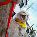 David Coy - @yulk2103 - Twitter