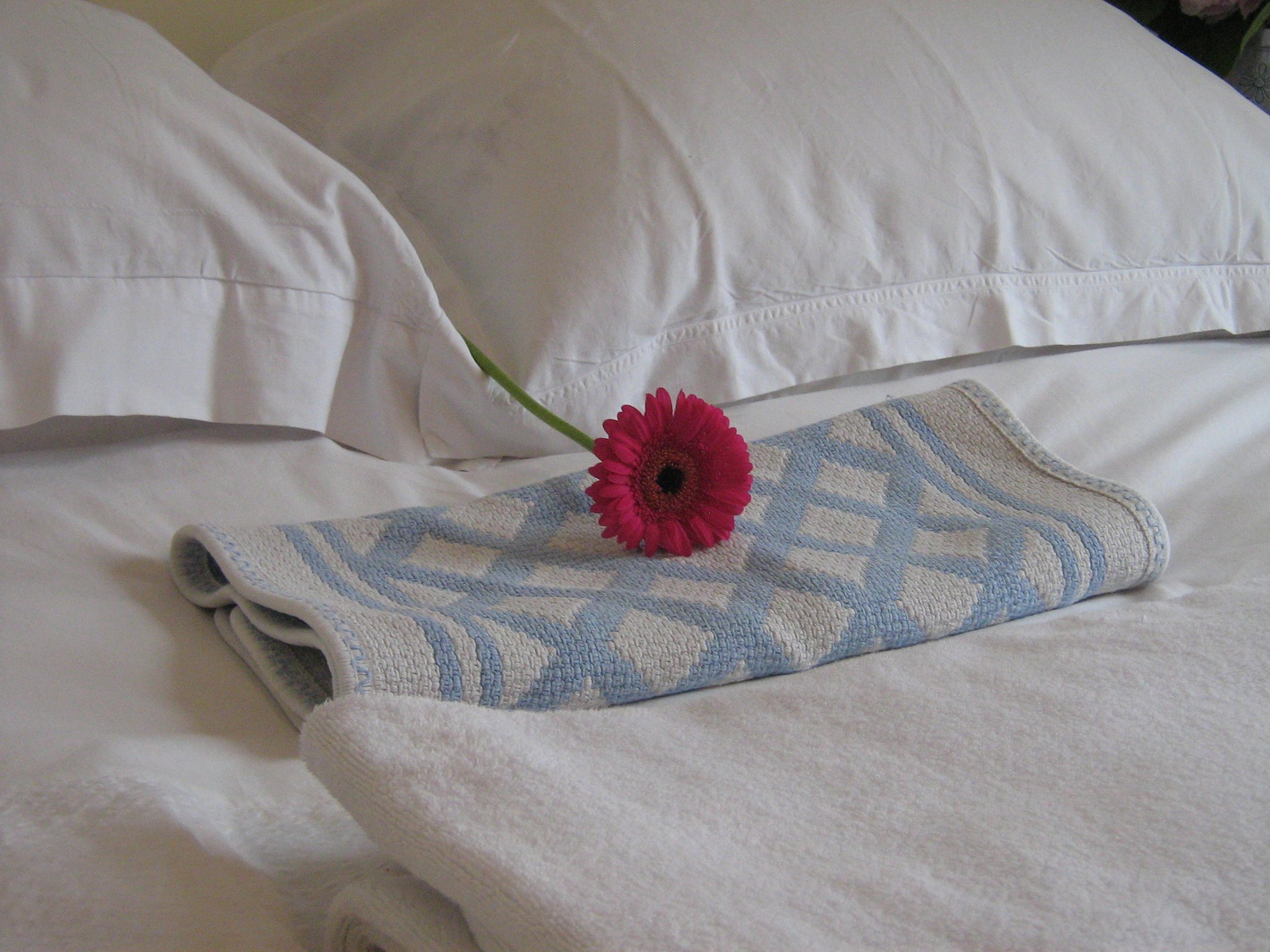 Cute B&B in Kingswear. Close to river, ferries, yacht club. Child friendly and dog friendly too!