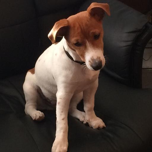 CHETTI1's profile picture. 