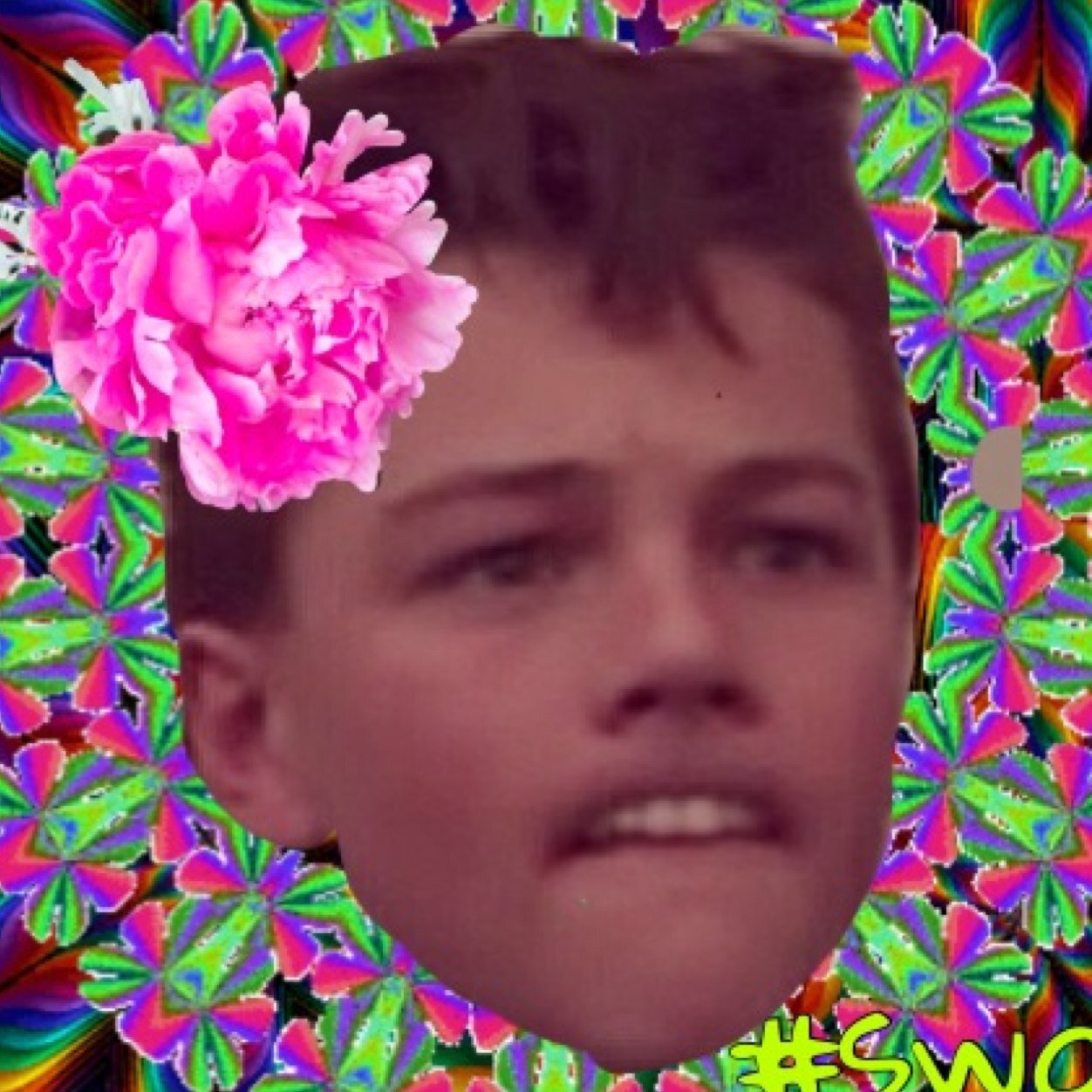 TWINKLE TWINKLE LITTLE OSCAR HOW I WONDER WHERE THE FUCK YOU ARE