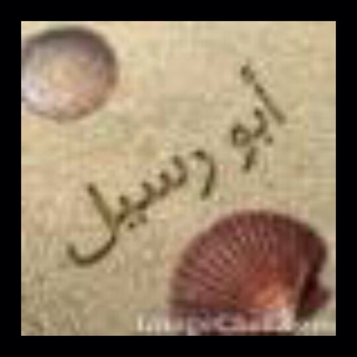 لاَ تَتركَ شخصَاً يُحَب آلحَديث مَعَكَ ، فآنَت لَآ تَعلمَ مَن آنَت عَنده ، قَد تَكونَ الوَحيَد آلذيَ تَبقى لَه ، آوَ كل شيء بآلنسَبة لہ.. الدمام