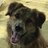 winston_graham's profile image