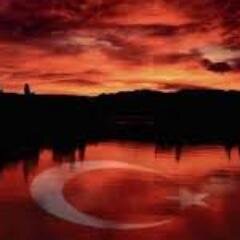 Black_saro's profile picture. 