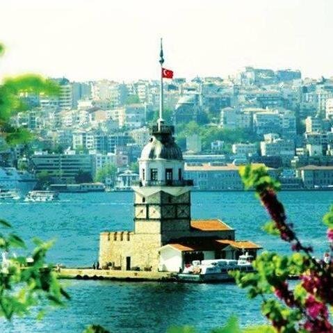 عين على الدنيا ألتقط ما يعبر بصمت… مشهد، زاوية، إحساس. أبحث عن الجمال الخافت، وعن الحكايات اللي ما تُقال. هنا الدنيا مثل ما أشعر فيها، لا مثل ما تُروى.