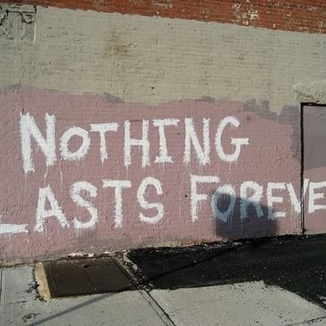 Tumblr is life