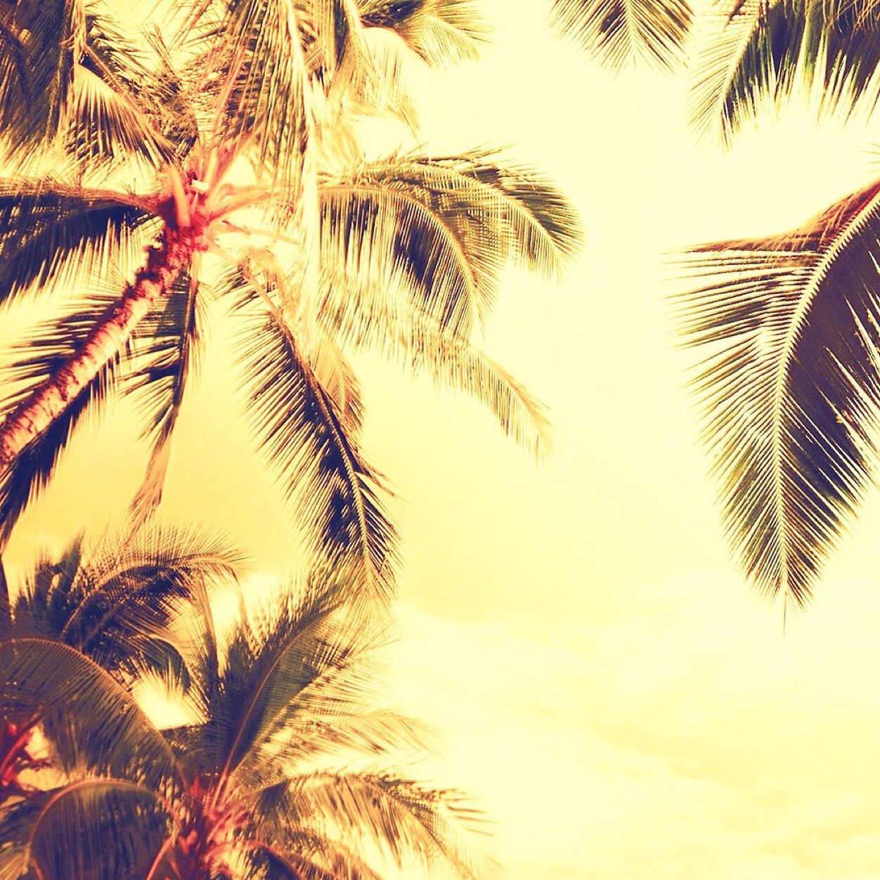 kendallbirdie's profile picture. 