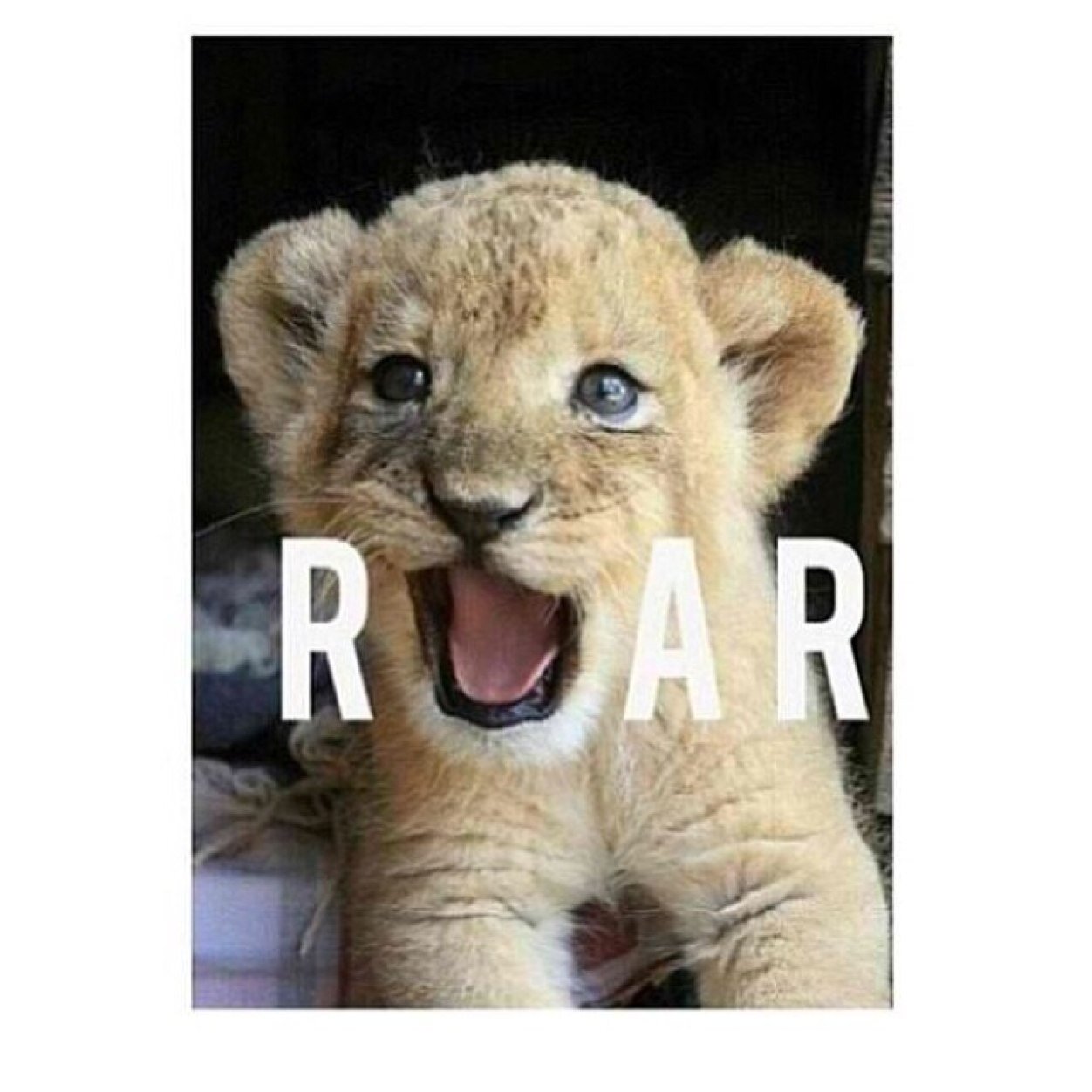 RandomSweaty's profile picture. 