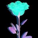 Kristen Forest - @jedi45 - Twitter