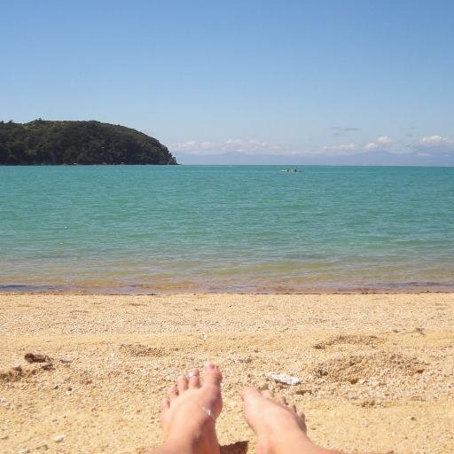 1235Kelvins's profile picture. #Freed