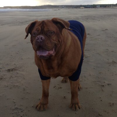 daviesn01's profile image