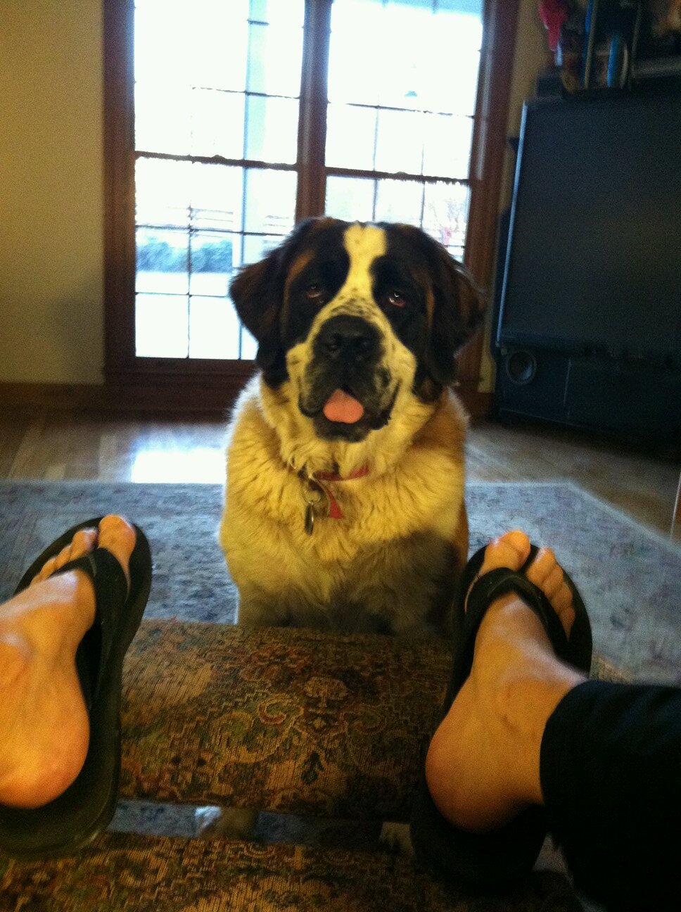 BigLarryR00's profile picture. 