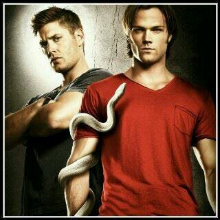 I love 1D and SPN s2 s2